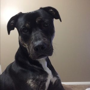 Meet your Posher, Jess